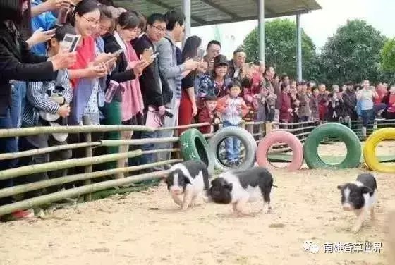 繼玻璃橋后韶關(guān)又爆出了新的玻璃觀景平臺！