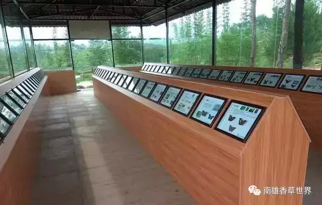 繼玻璃橋后韶關(guān)又爆出了新的玻璃觀景平臺！