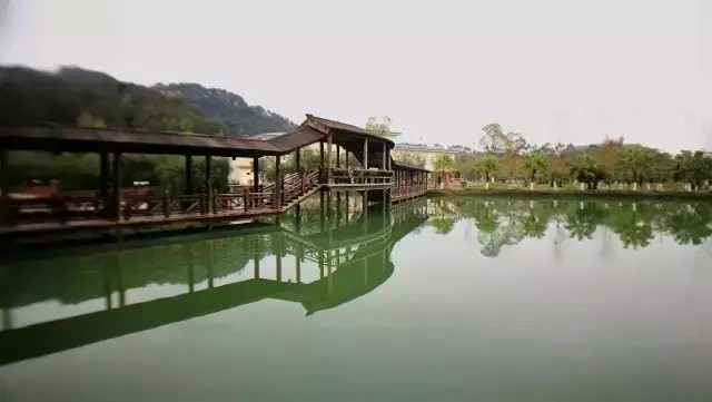冬夏兩不誤｜原生態(tài)的度假生活韶關(guān)乳源麗宮國(guó)際溫泉酒店