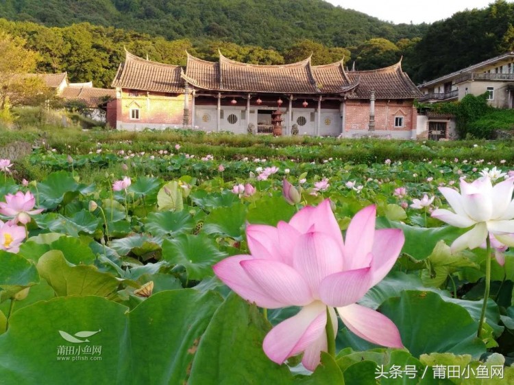 莆田城廂區(qū)5大景區(qū)攻略溫泉竹筏和瀑布肯定有一款你喜歡！