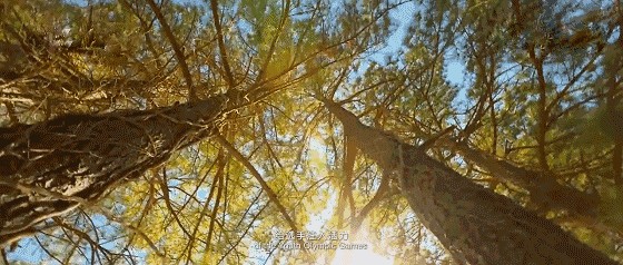 秋天滁州人必做的10件事！沒(méi)做過(guò)的幾乎沒(méi)有！