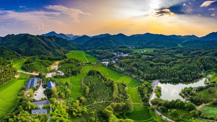 Ｇo兔南平|來(lái)天然氧吧為自己做個(gè)氧氣SPA吧！