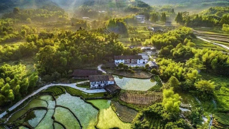 Ｇo兔南平|來(lái)天然氧吧為自己做個(gè)氧氣SPA吧！