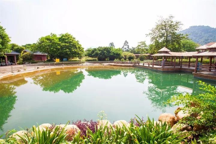 五一游韶關(guān)是時(shí)候?qū)⑺讲氐臏厝ヂ阅贸鰜砹耍?家人氣溫泉酒店度假指南帶你玩出溫暖