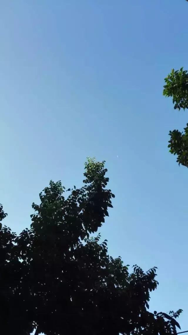 美麗香約香盈月之SPA