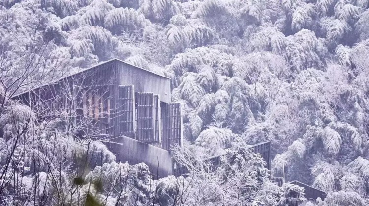 在竹海雪野里泡一場溫泉SPA這才是這個冬天最正確的打開方式