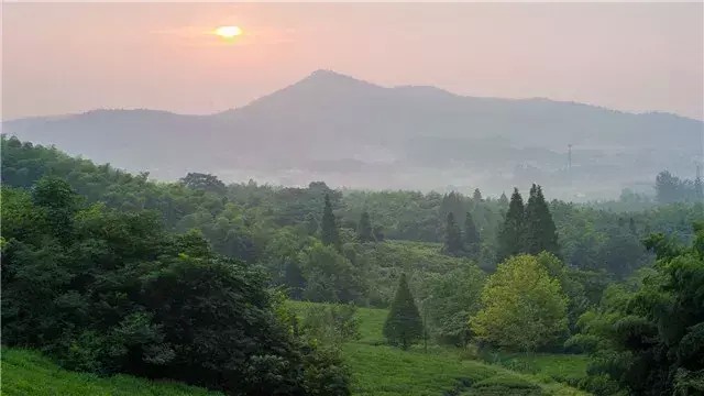 在竹海雪野里泡一場溫泉SPA這才是這個冬天最正確的打開方式