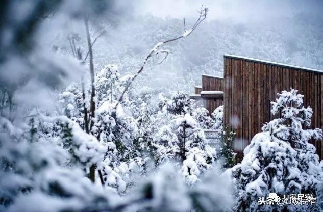 冬日續(xù)命必備！我不需要暖氣只要一場竹海雪野里的溫泉spa