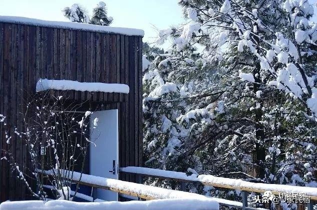 冬日續(xù)命必備！我不需要暖氣只要一場竹海雪野里的溫泉spa