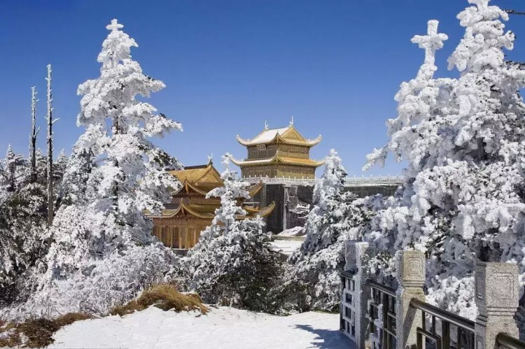 “天然氧吧”30分鐘飛躍！泡溫泉，游古鎮(zhèn)，樂山這個(gè)小鎮(zhèn)又火了！
