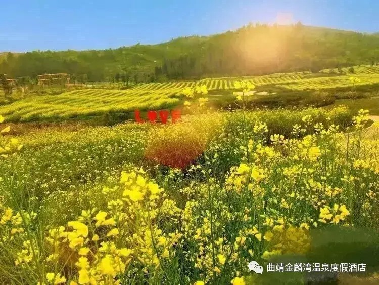 曲靖金麟灣溫泉度假酒店怎么樣