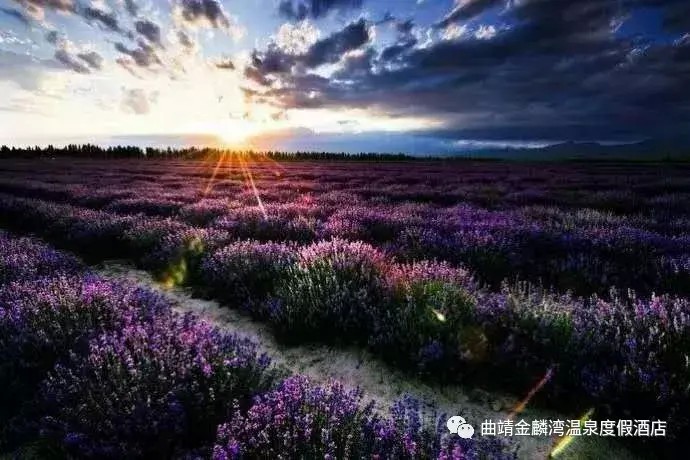 曲靖金麟灣溫泉度假酒店怎么樣
