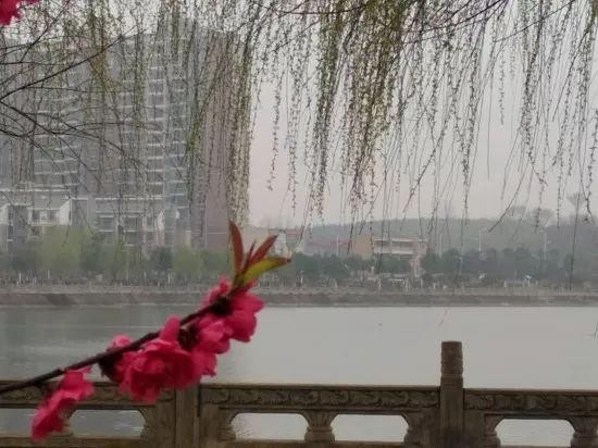 驕傲！孝感這9個(gè)鎮(zhèn)在全國出名了！看看有你家鄉(xiāng)嗎