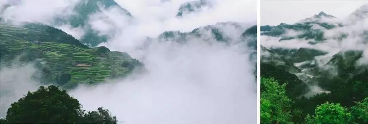 浙江麗水這家隱世山居臥虎藏龍有金庸的武俠風(fēng)