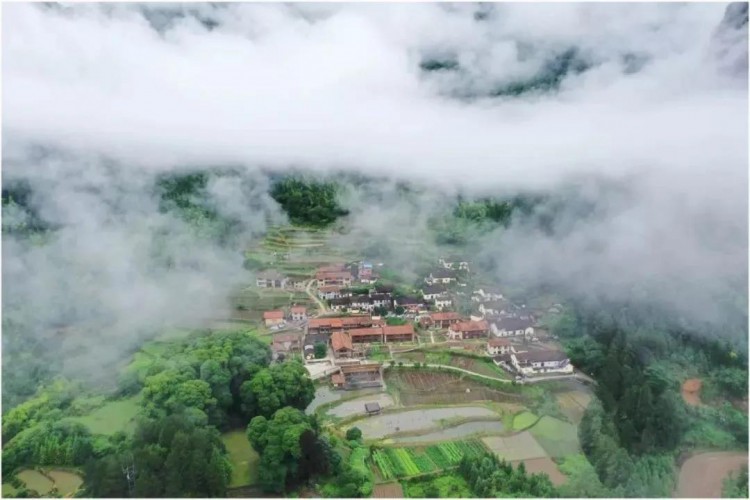 浙江麗水這家隱世山居臥虎藏龍有金庸的武俠風(fēng)