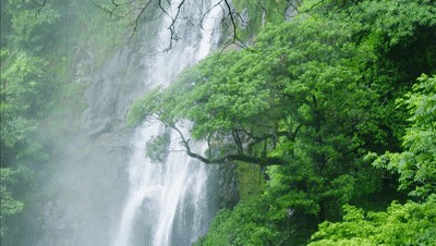 遂昌3處上榜麗水山景首批示范基地名單來一次就喜歡上了