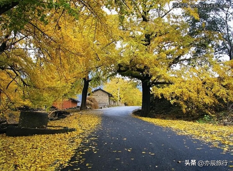 湖北孝感6個(gè)最佳旅游景點(diǎn)孝感周邊好玩的地方推薦