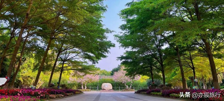廣東茂名旅游六大必去景點(diǎn)2024春節(jié)旅游最合適的地方