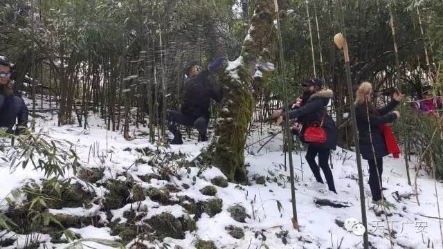 「親身體驗」廣安人排隊也要去耍的地方你確定都去過嗎