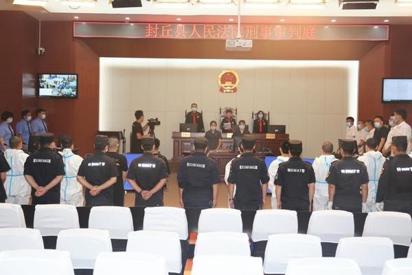 下手狠背景硬的鶴壁一涉黑組織16人被判刑