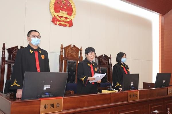 下手狠背景硬的鶴壁一涉黑組織16人被判刑
