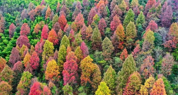 國家認證！慢生活休閑養(yǎng)生就來鷹潭
