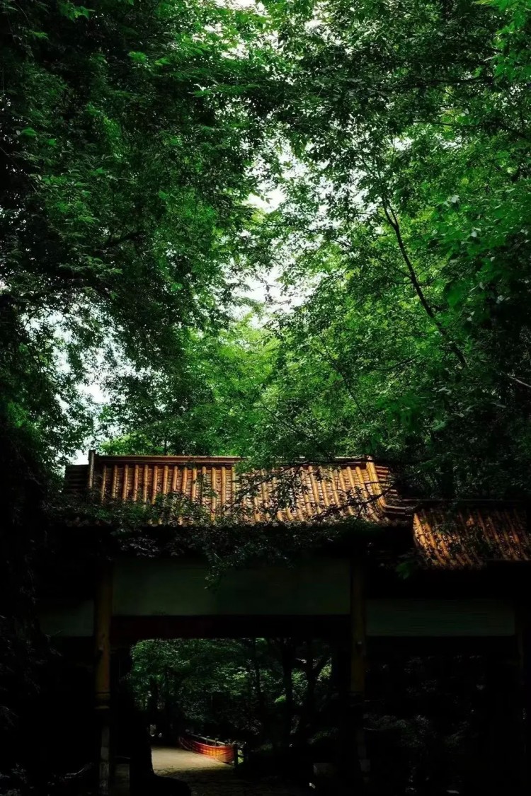 熱熱熱！隨州這些消夏避暑好去處記得收藏挑個(gè)周末就出發(fā)！