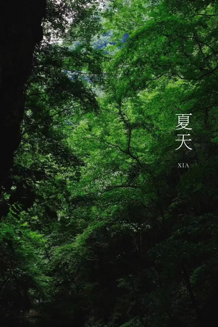 熱熱熱！隨州這些消夏避暑好去處記得收藏挑個(gè)周末就出發(fā)！