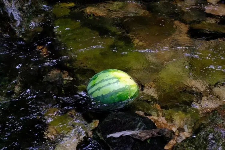熱熱熱！隨州這些消夏避暑好去處記得收藏挑個(gè)周末就出發(fā)！