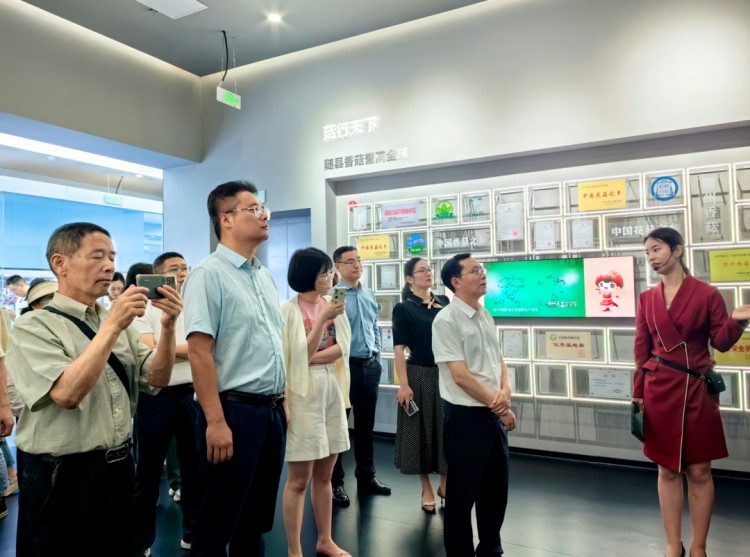 “襄十隨神 全國媒體隨州行暨文化旅游局長沙龍隨我尋根走進隨縣