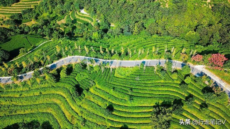 邂逅廣東云浮高山茶田藏一頂級(jí)酒店山峰疊翠云霧繚繞溫泉