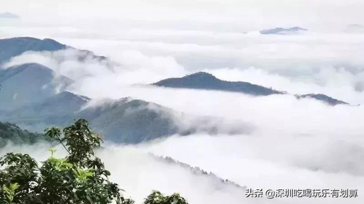 云浮象窩山頂有一家溫泉酒店，漫山茶園，湖泊美景，去過的還想去