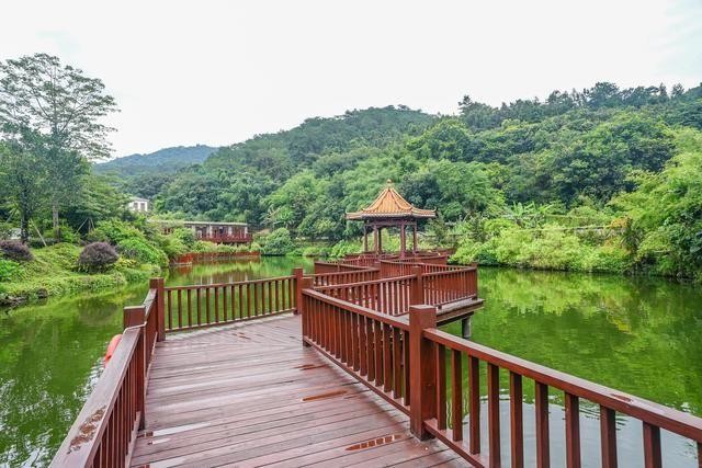 我在云浮六祖故里發(fā)現(xiàn)了一家美味龍山溫泉酒店品舌尖之旅