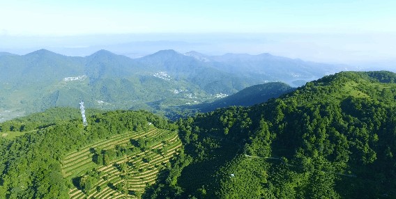 云浮翔順·象窩含雙早雙晚！水上樂園坐觀光車漫步山間小徑
