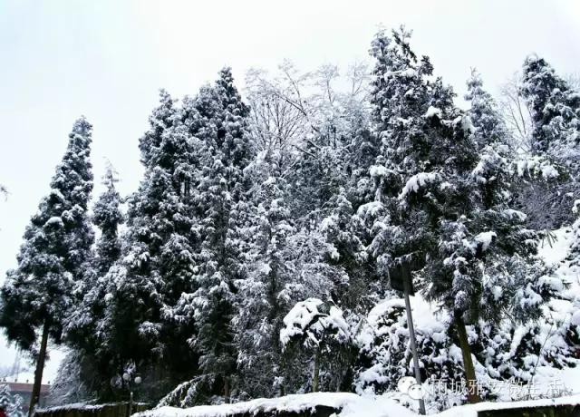 2016年雅安市雨城區(qū)一年12個(gè)月可以這樣玩兒！