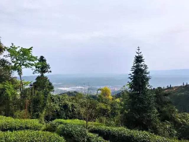 別再說(shuō)清明找不到地方游玩了我看雅安這里就很不錯(cuò)！