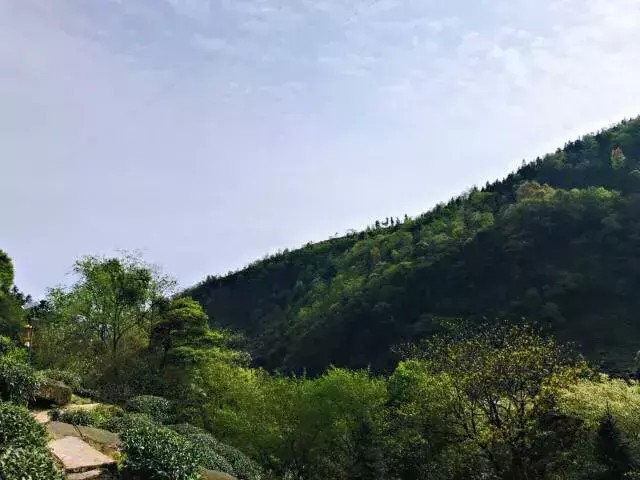 別再說(shuō)清明找不到地方游玩了我看雅安這里就很不錯(cuò)！