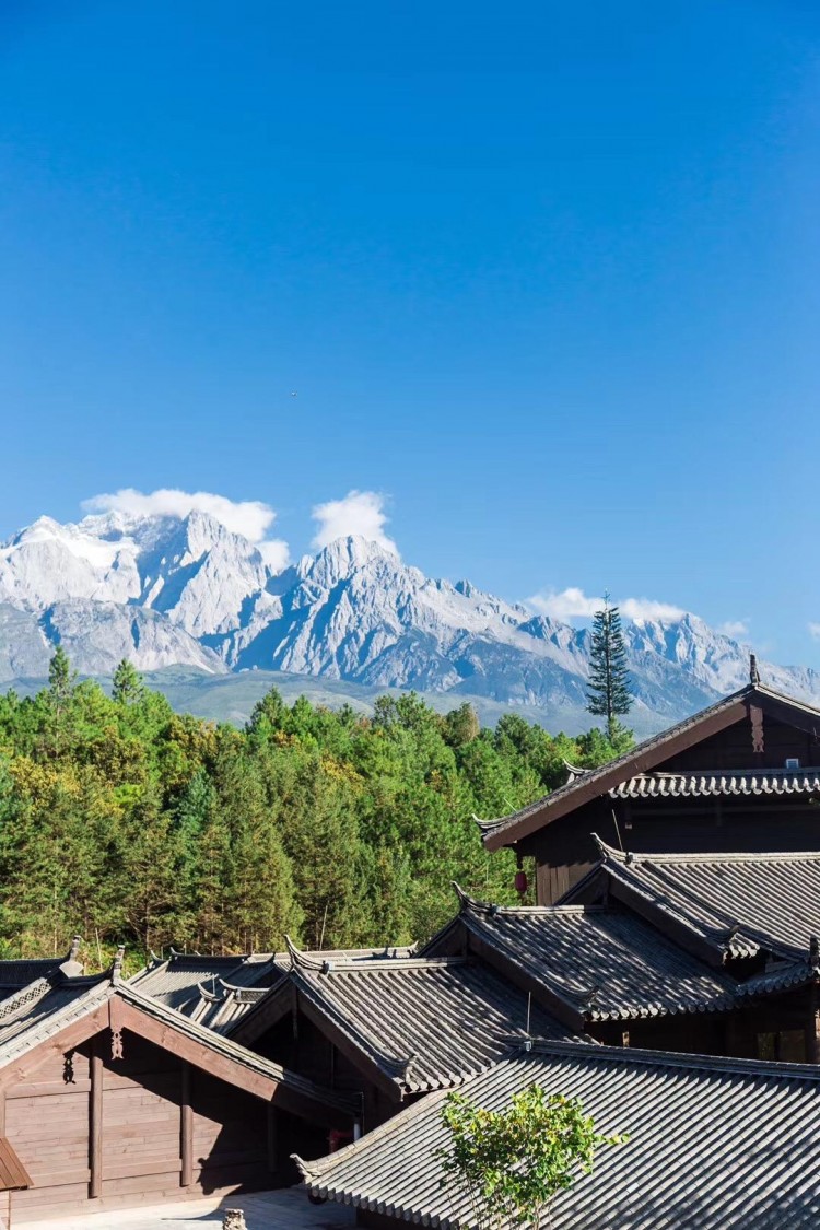 藏在麗江雪山下這個(gè)康養(yǎng)酒店入住居然要先體檢