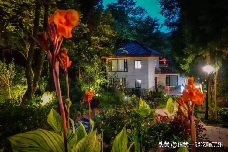 四川雅安現(xiàn)實(shí)版的瘋狂動(dòng)物城生態(tài)野生動(dòng)物園
