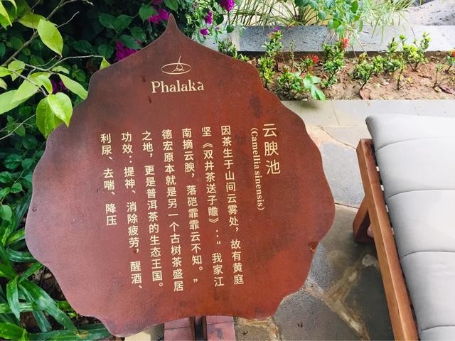 云南德宏|芒市遮放最美江邊熱帶雨林里的高顏值酒店溫泉體驗