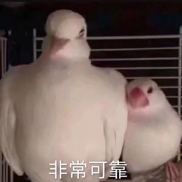 藏不住了！雅安這三個(gè)小眾耍法99%的本地人都不知道