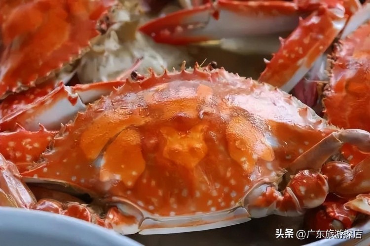 藏在臺(tái)山三合隱奢的溫泉度假村開(kāi)業(yè)陽(yáng)臺(tái)邊泡邊賞景景美人不多