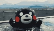 哈爾濱真正溫暖如春的地方！來(lái)回用不上200玩轉(zhuǎn)這個(gè)周末！