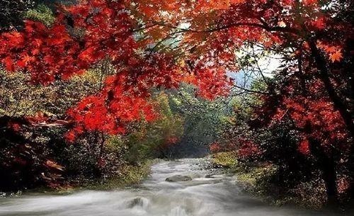 還沒(méi)想好去哪玩遼寧省內(nèi)這些地方景美人少還不遠(yuǎn)