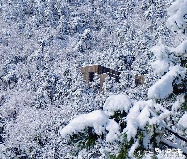 冬天就是要在隱居森林中竹海雪野里來一場溫泉SPA