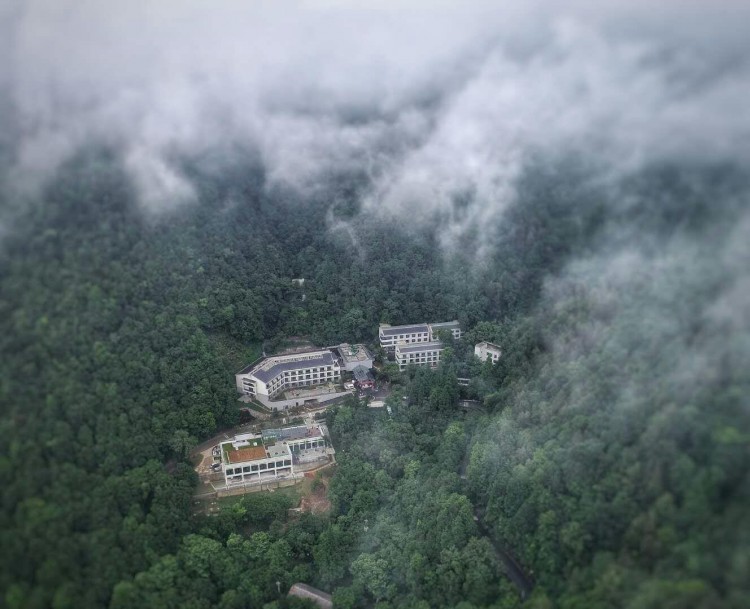 全國(guó)首批勞模療休養(yǎng)基地浙江省總工會(huì)雙龍工人療養(yǎng)院重裝開(kāi)放