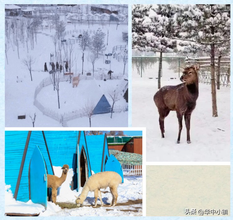 河北旅游：雪中泡泉沉浸式SPA華中小鎮(zhèn)賞雪游玩度假全攻略