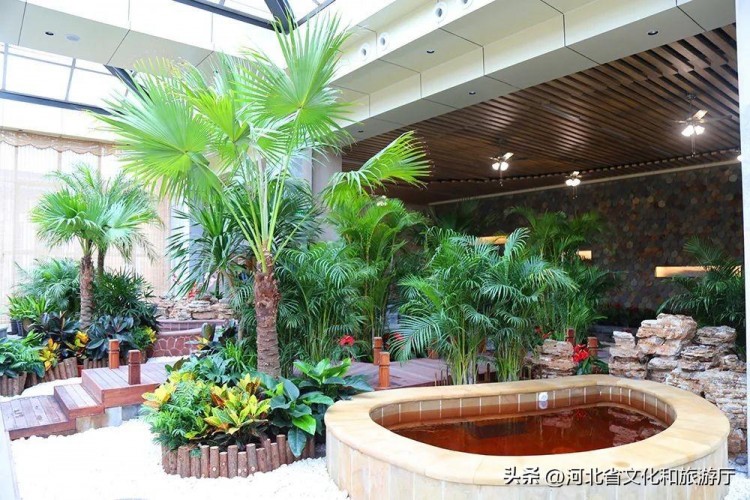 數(shù)九寒天養(yǎng)生溫泉當(dāng)然不能少~
