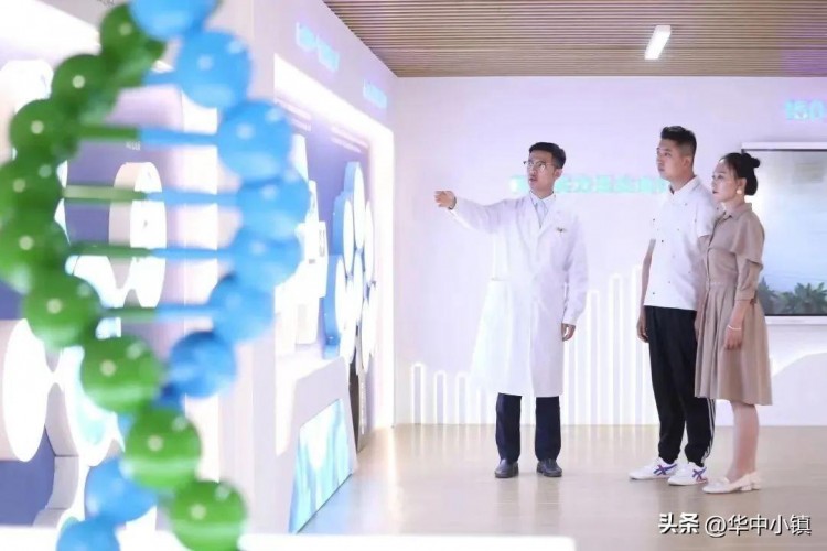 河北淶源：淶源榮獲康養(yǎng)旅游百強縣打卡華中小鎮(zhèn)健康游