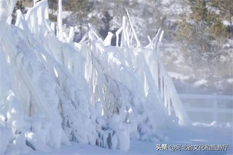 雪上馳騁打卡夢幻冰城堡！在這個度假小鎮(zhèn)進入童話世界~